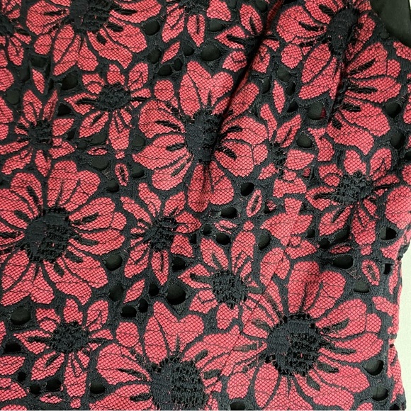 Tommy Hilfiger Lace Floral Dress Pink Lined Dark Fairy Festival Whimsical Sz 2 - Picture 6 of 11